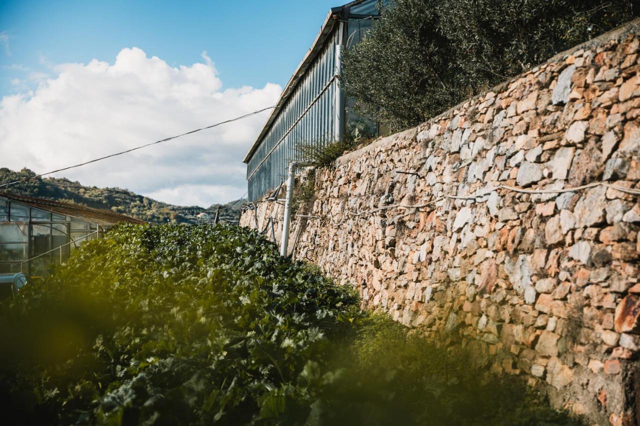 Agriturismo Rose Di Pietra Pietra Ligure Extérieur photo